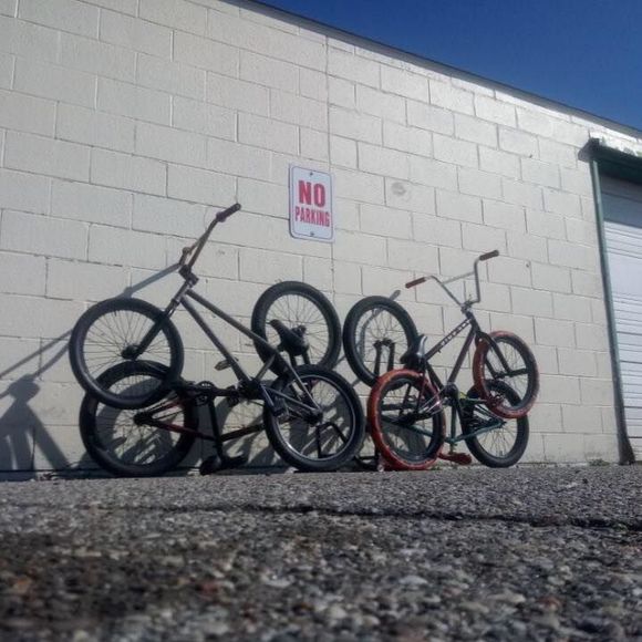 Meet your Posher, Tyler - Picture 1 of 1